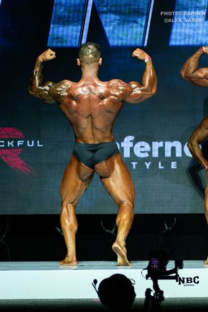 CLASSIC PHYSIQUE +178